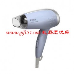 奔騰家庭電吹風(fēng)PH6800
